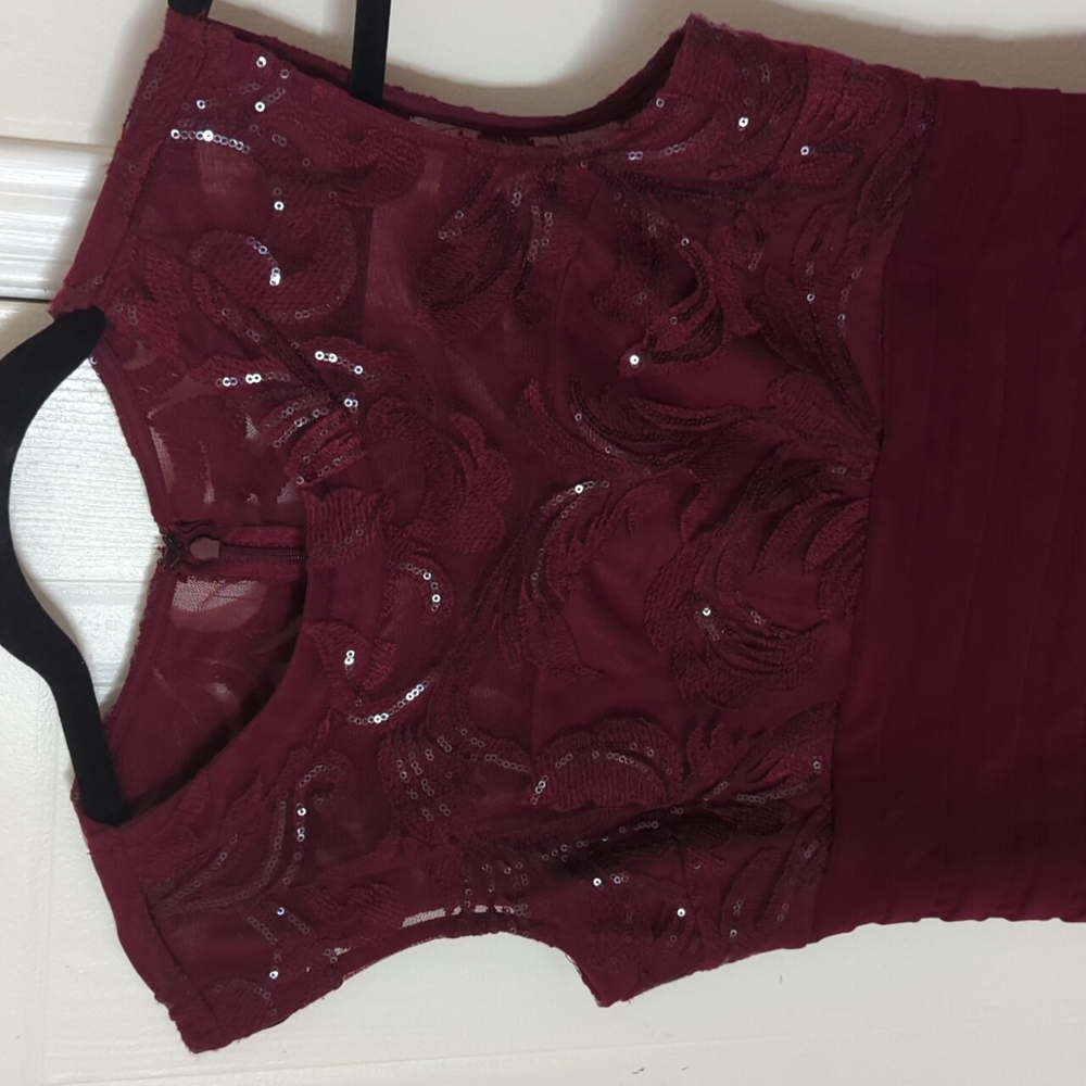 🏵️💚 Wine Sequin Dress